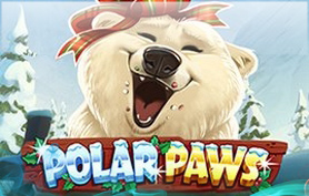 Polar Paws